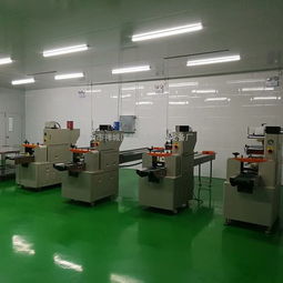 安徽無紡布口罩包裝機(jī) 高效、智能的紗布口罩自動(dòng)包裝解決方案